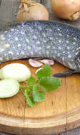 Brochet du lac d'Ayse