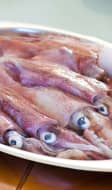 Plat de d'encornets frais