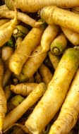 Etal de carottes jaunes