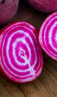 Betteraves chioggia, entières et tranchées, dans un sac de jute sur une table en bois