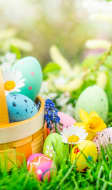 Oeufs de Pâques cachés au jardin