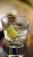Gin avec rondelle de citron