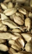 Cardamone dans un ramequin