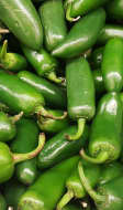Piments verts Jalapeños 