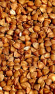 Graines de sarrasin