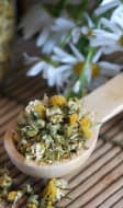 Fleurs fraîches et séchées de camomille