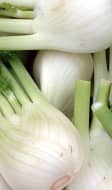 Bulbes de fenouil