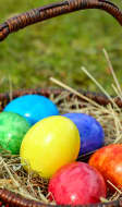 Oeufs de Pâques colorés