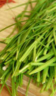Brins de ciboulette