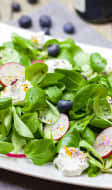 Salade de mâche