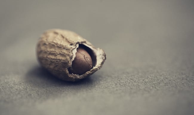 Cacahuète dans sa gousse