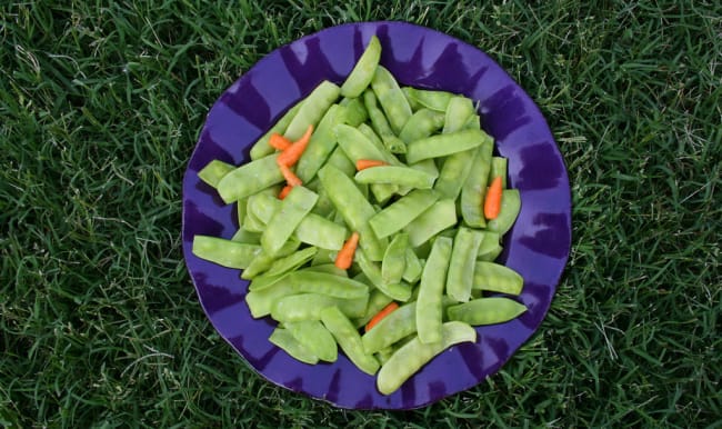 Assiette de pois gourmands et jeunes carottes