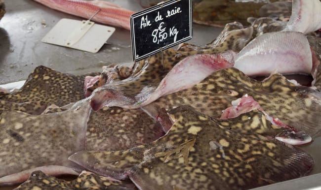 Ailes de raie sur l'étal du poissonnier