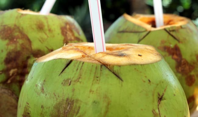 Noix de coco avec une paille