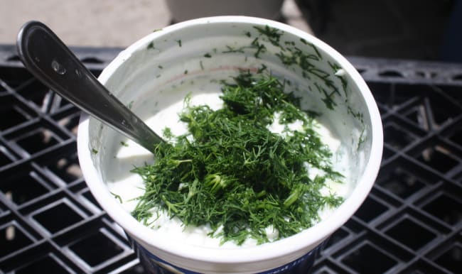 Tzatziki dans un pot de yaourt grec