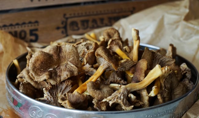 Chanterelles dans un plateau