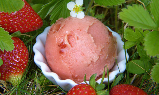 Glace à la fraise dans une coupelle et fraises entières