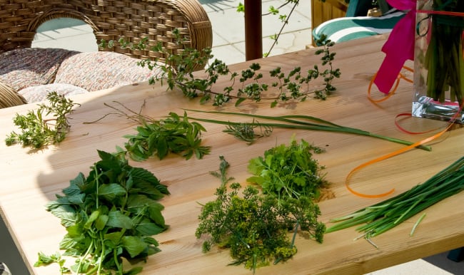 Herbes aromatiques sur plan de travail