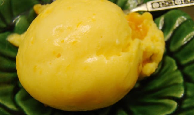 Sorbet mangue abricot