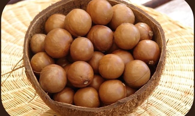 Noix de Macadamia