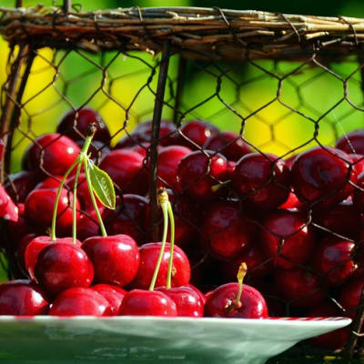 confiture de cerises