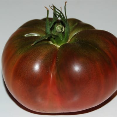 tomate noire de crimée