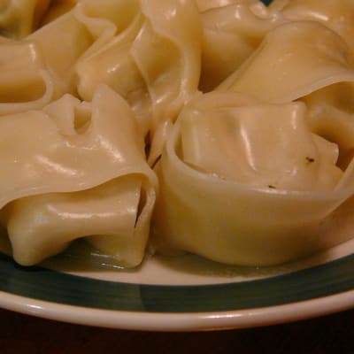 wonton