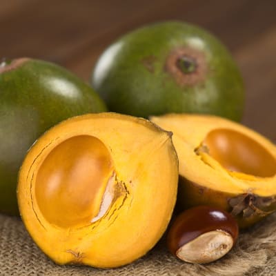 lucuma