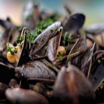 moules marinière