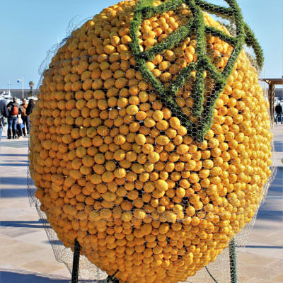 citron de Menton