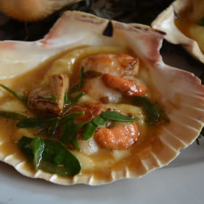 coquille saint-jacques