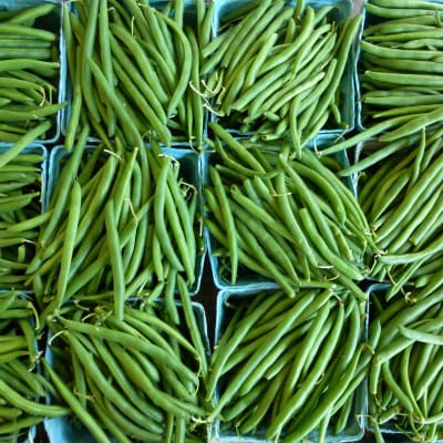 haricots verts