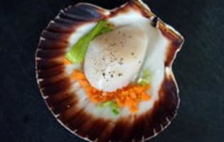 Noix De Saint Jacques Cuites En Coquilles Cuisson A L Etouffee En Coquilles Lutees Recette Par Chef Simon