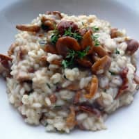 risotto