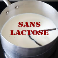 sans lactose