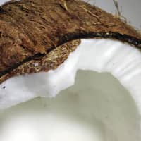 sans produits laitiers
