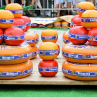 edam