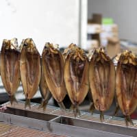 hareng fumé