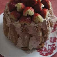 biscuit cuillère
