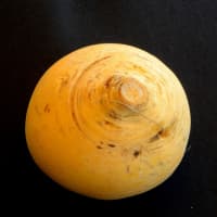navet boule d'or