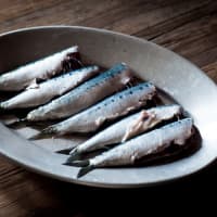sardines