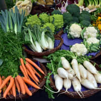 légumes de printemps