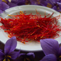 safran