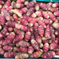 oca du Pérou