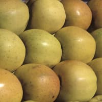 pomme golden