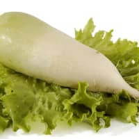 radis vert