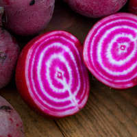 betterave chioggia