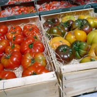 tomates
