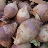 rutabaga