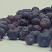 genièvre
